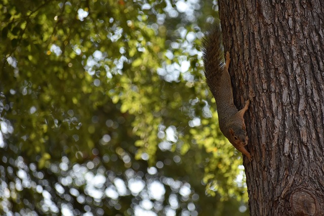 国际米兰替补席贡献巨大