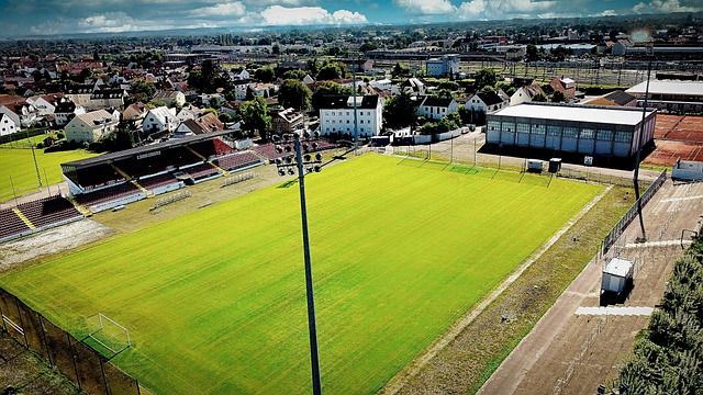 乐高推出1：1世界杯官方奖杯模型，售价为199.99美元