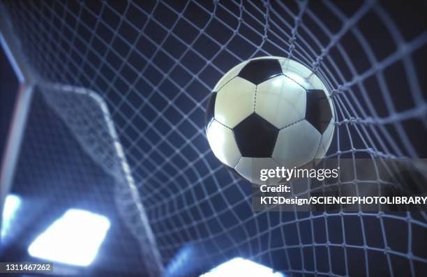 掘金主教练：篮球对约基奇而言是一门手艺，你必须拥有其他兴趣